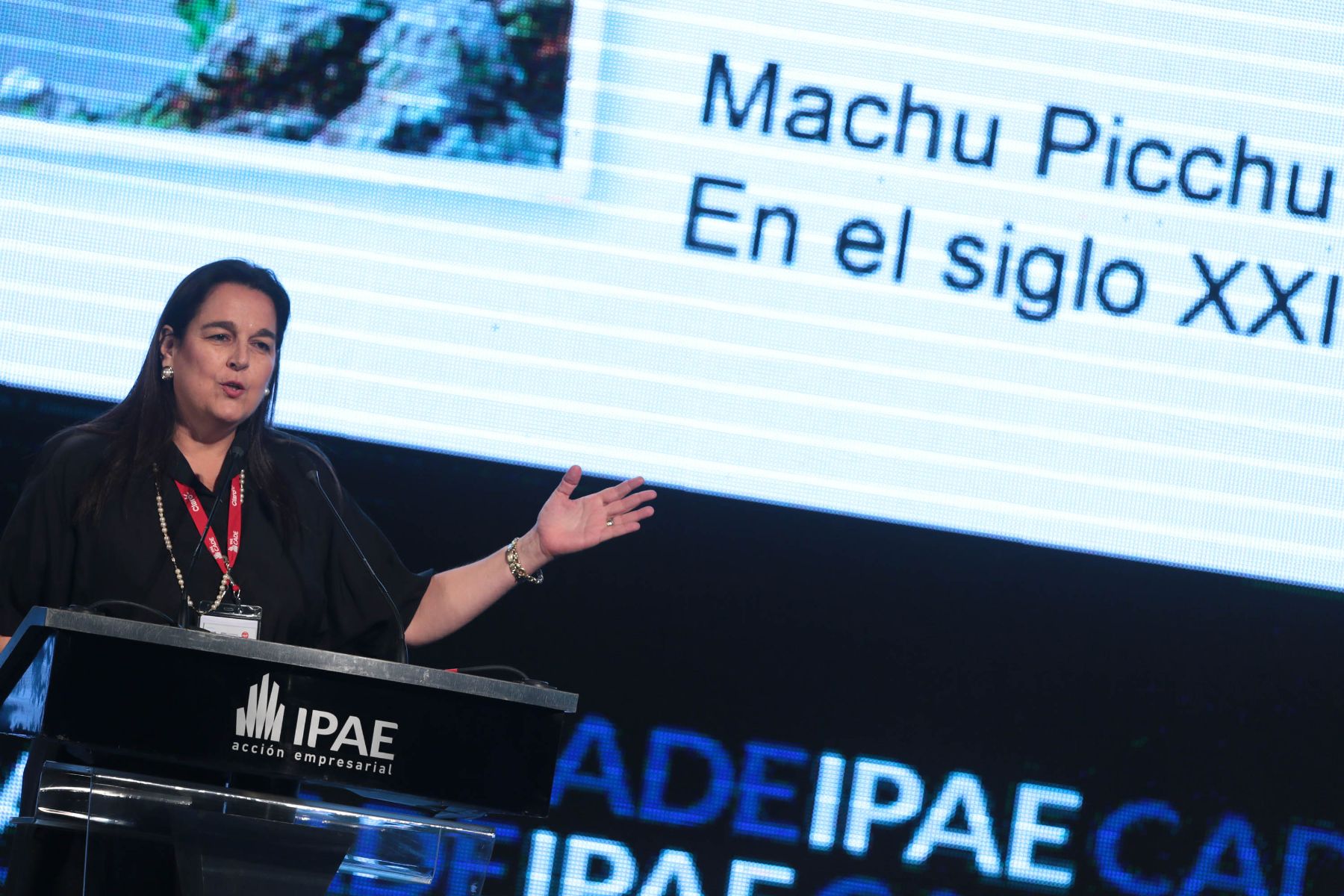 PARACAS,PERÚ,NOVIEMBRE 28.Maria Rosa Arrarte, presidenta del Directorio de Lima Tours, expone en el CADE 2013.Foto: ANDINA/Carlos Lezama