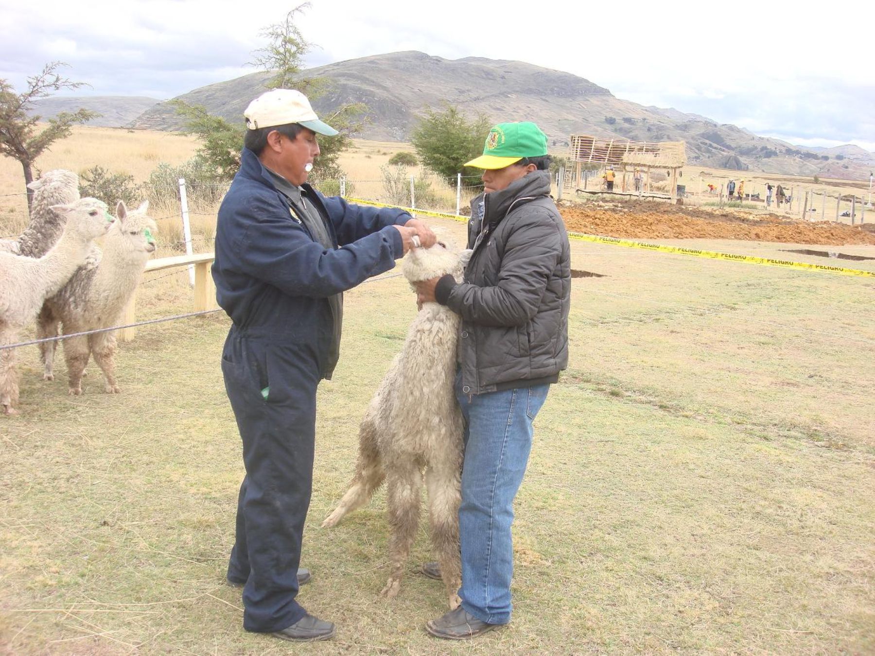 El proyecto Qhapaq Ñan ejecuta proyectos de impacto social en comunidades aledañas al sitio arqueológico Huánuco Pampa.