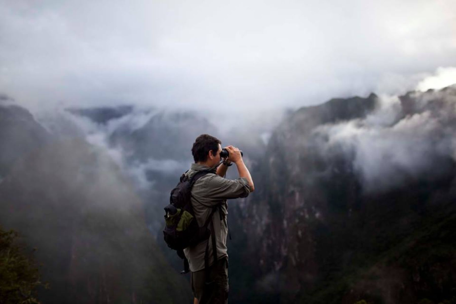 El último día de competencia del "Birding Rally Challenge" se realizó en el Santuario Nacional de Machu Picchu, en Cusco.