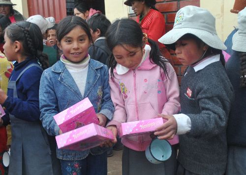 Niños que viven en comunidades altoandinas de la región Arequipa recibieron juguetes por Navidad.