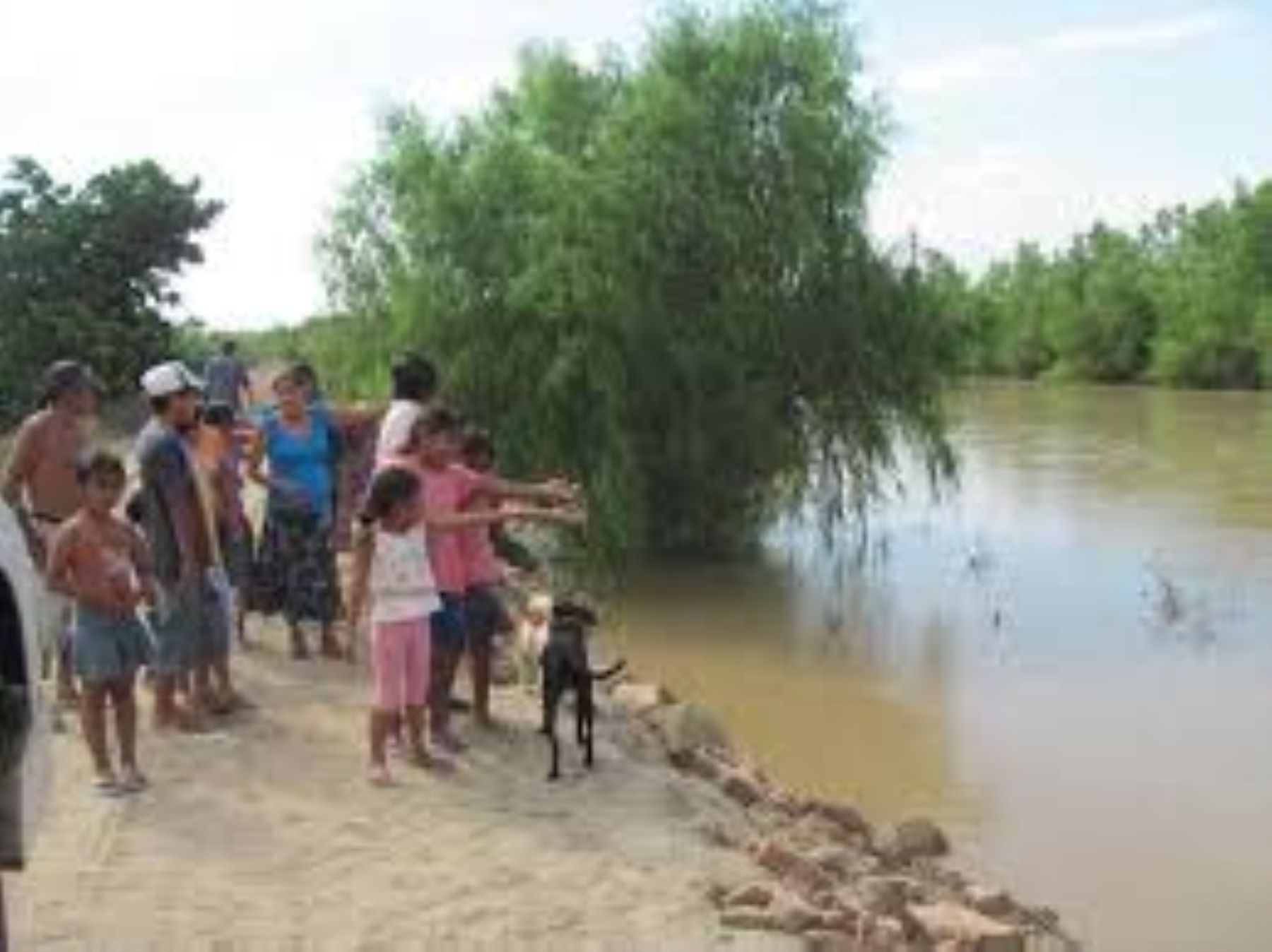 Reactivan grupo para proteger las fuentes de agua de Ayacucho. ANDINA/Difusión