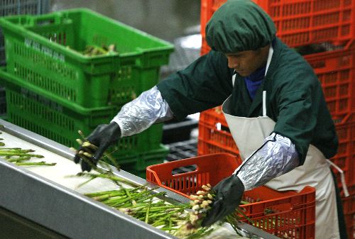 Agroexportaciones ANDINA