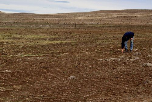 Se ha identificado población, superficie agrícola, superficie de pastos y población pecuaria, entre otros, expuestos a muy alta probabilidad de presencia del déficit hídrico. ANDINA
