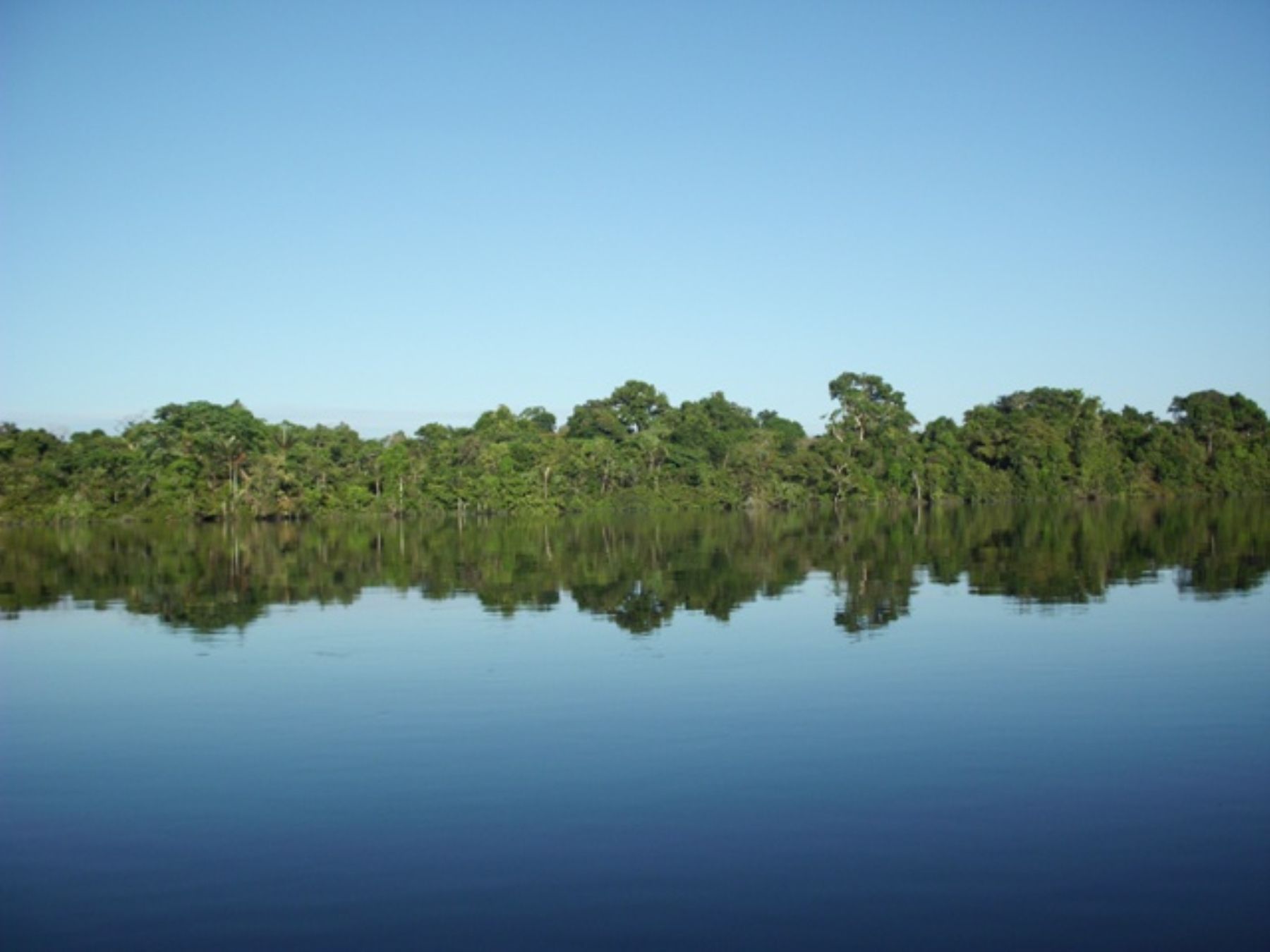 La Reserva Nacional Allpahuayo Mishana se ubica en la provincia de Maynas, región Loreto.