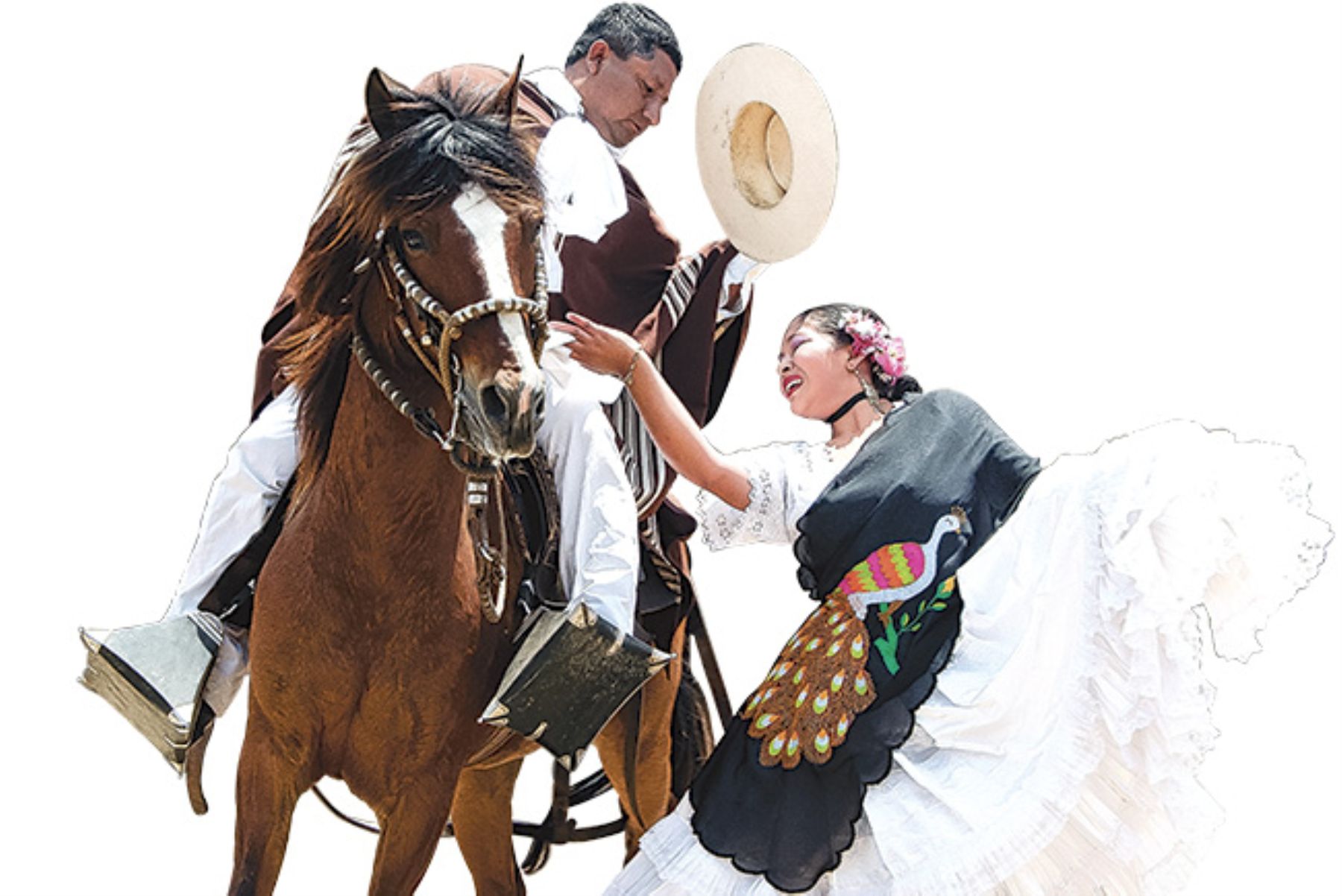 Toda la galantería masculina y la coquetería femenina de Trujillo es una sola danza: la marinera.