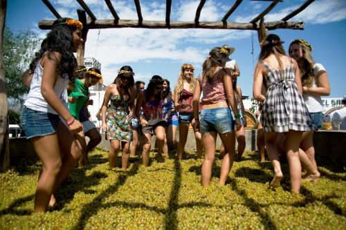 Ica celebrará desde este viernes 2 la Fiesta de la Uva 2018. ANDINA/archivo