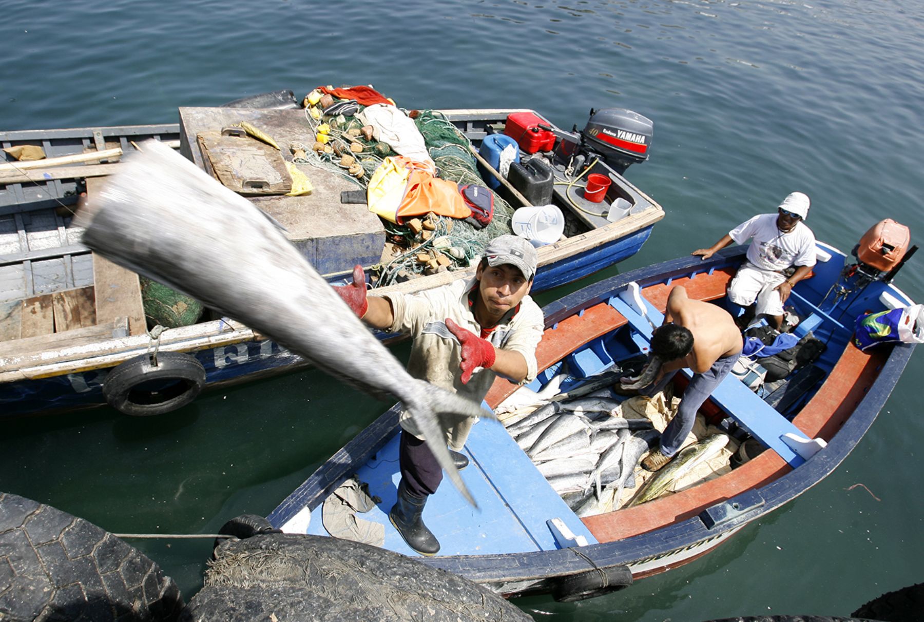 Pesca y acuicultura: oportunidad para el desarrollo sostenible