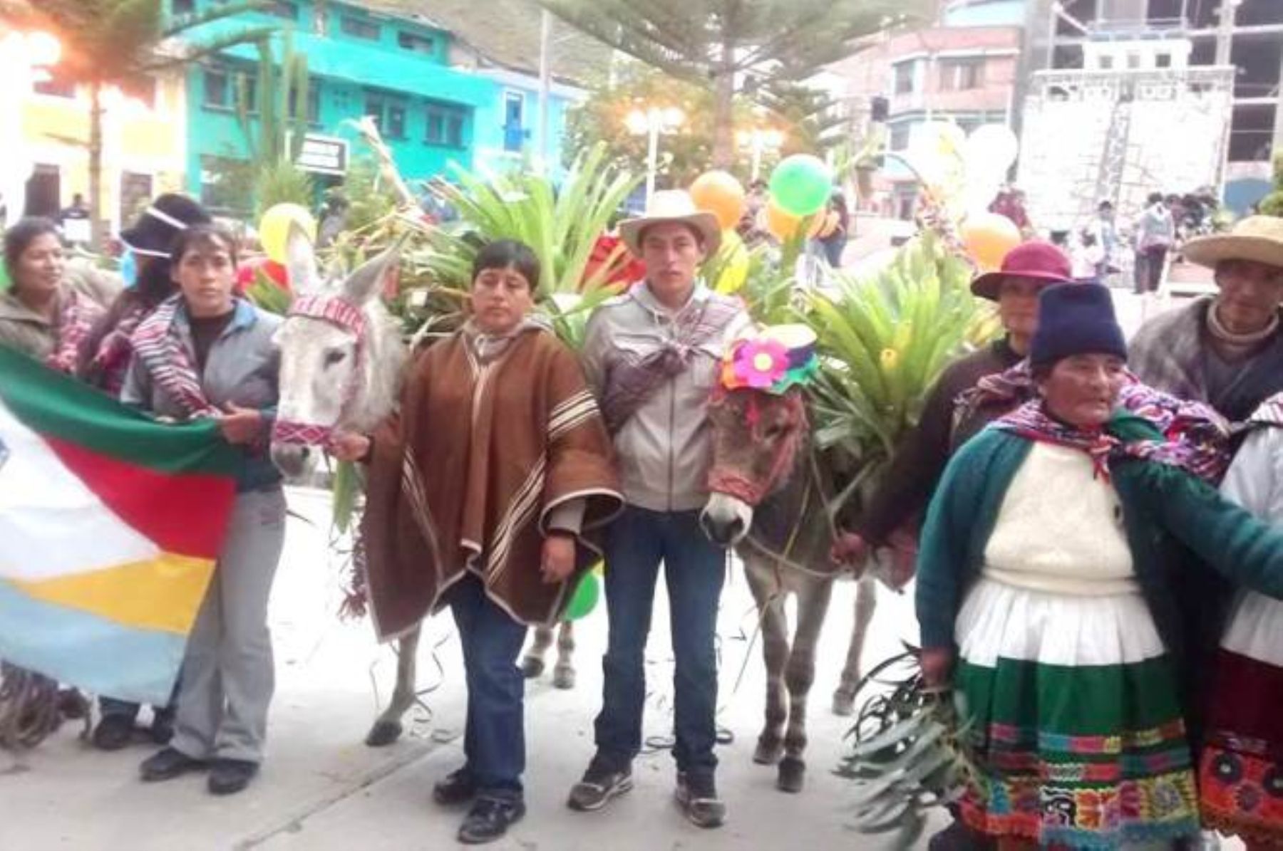 El paseo de weglosh, plantas llevadas por los burros es una tradición en Paucartambo.