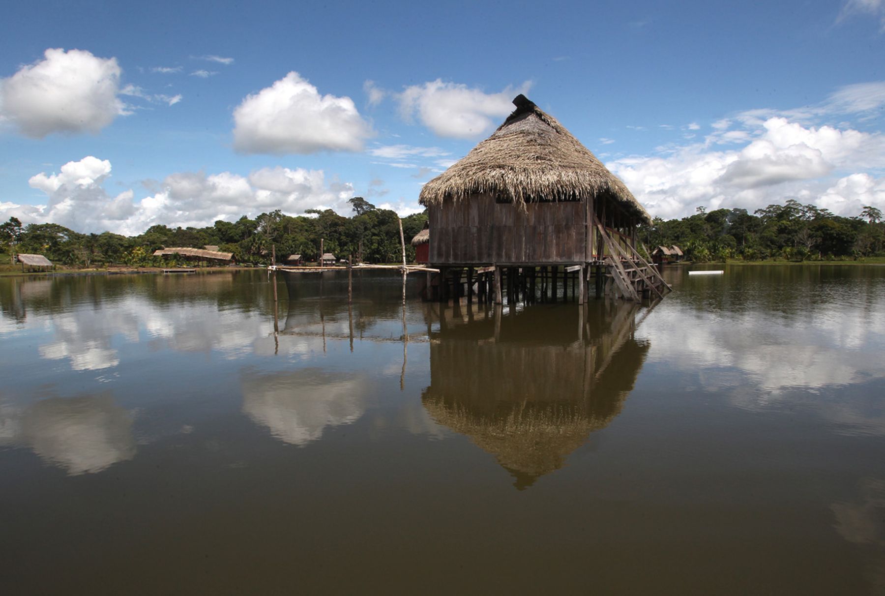 Tingo María. Foto:ANDINA/Vildal Tarqui