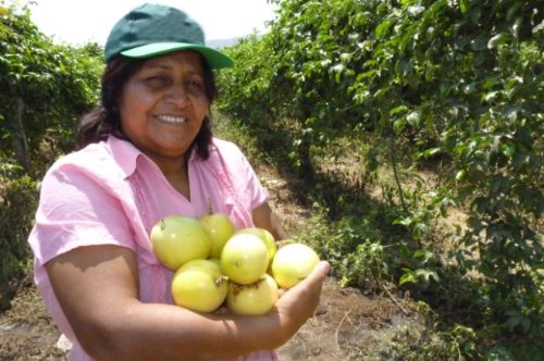 Maracuyá. ANDINA/archivo