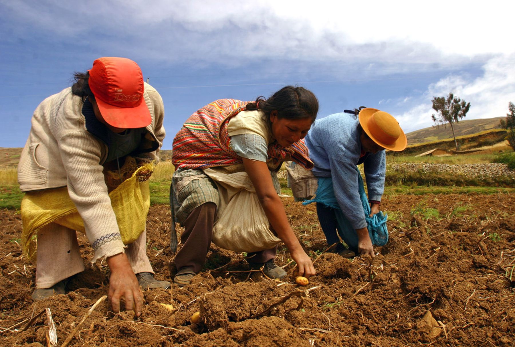 Productores agroecológicos de Huancavelica.
