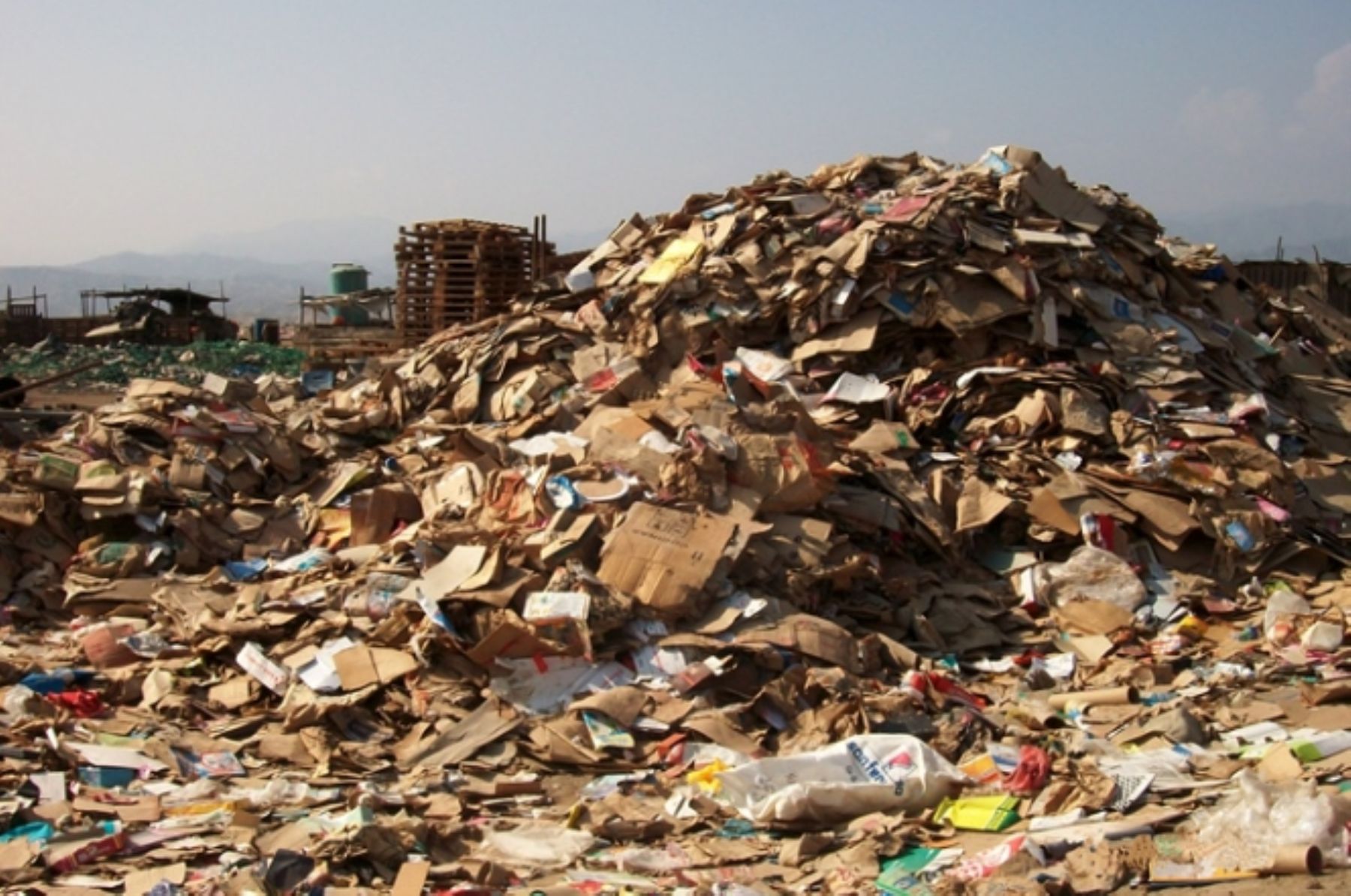 Denuncian a la Municipalidad Provincial de Chincha por las cientos de tonelada de basura que se acumulan en botadero.