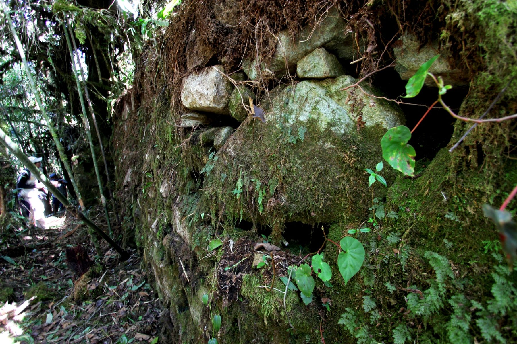 Descubren nuevo camino inca que conduce a parque de Machu Picchu. Foto: ANDINA/Difusión.