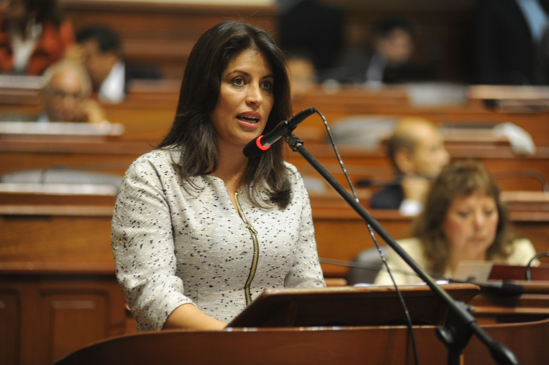 Ministra de la Mujer, Carmen Omonte.