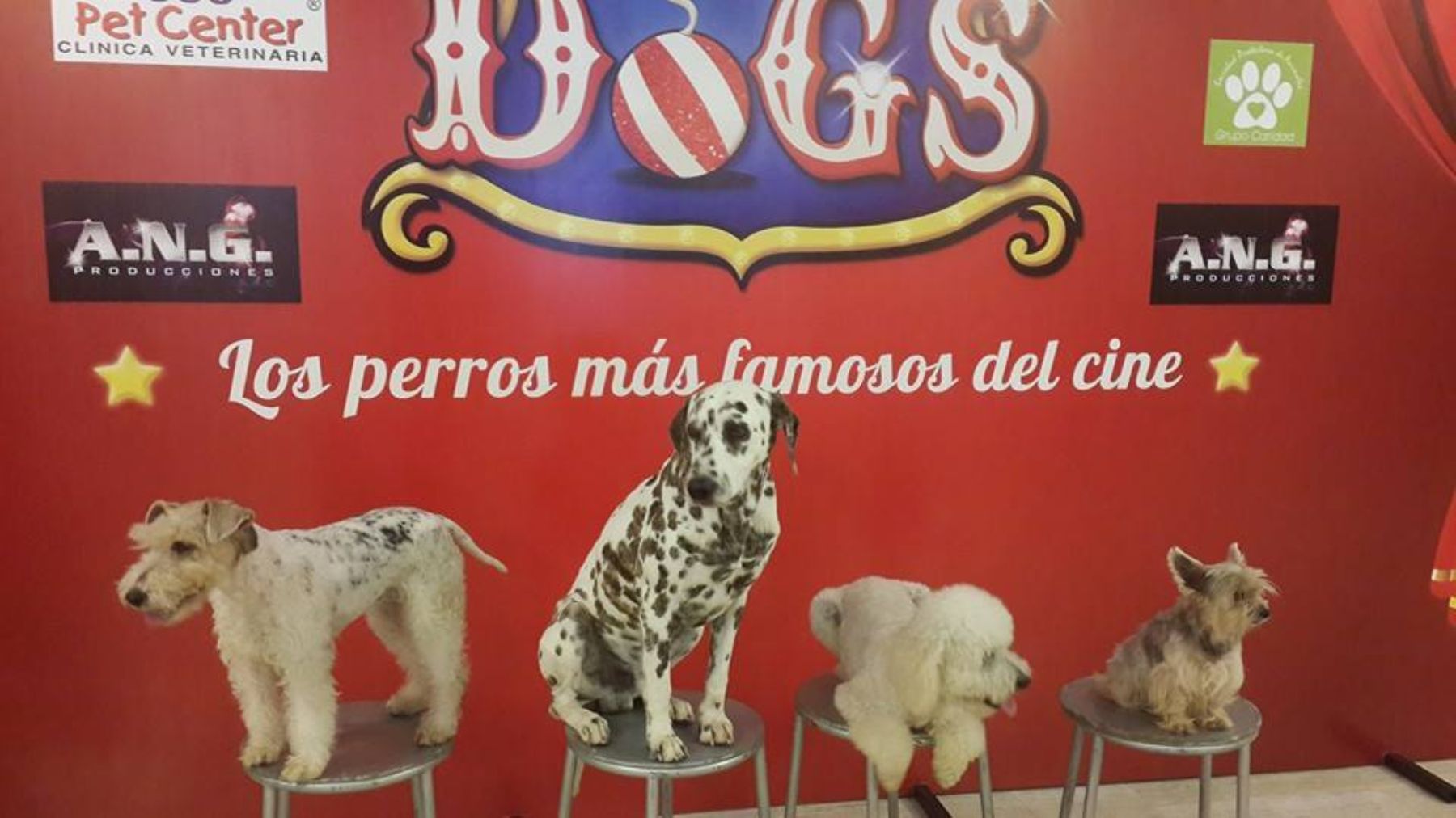 Perritos famosos.