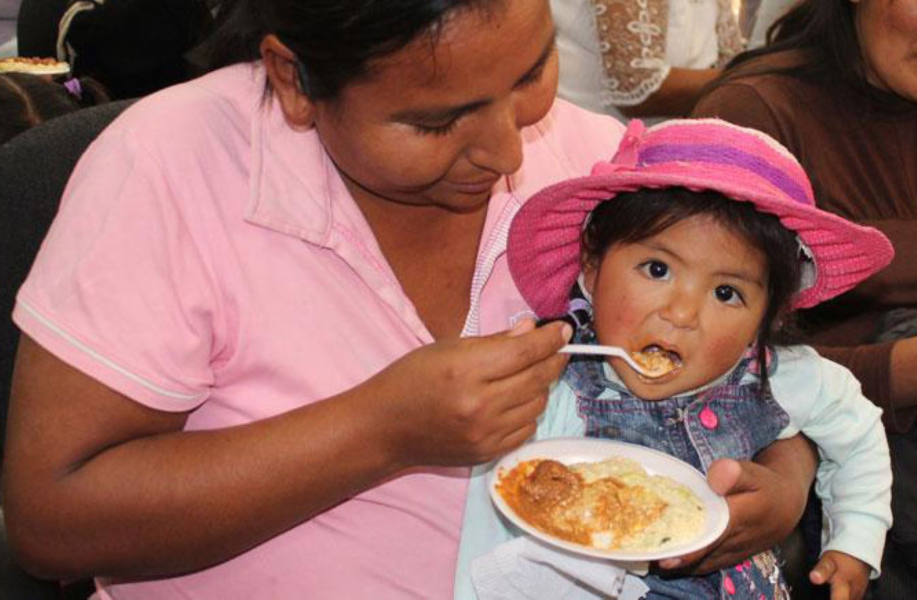 Presentan recetario con 25 platos nutritivos y saludables en la región Ayacucho para combatir la desnutrición infantil y la anemia.