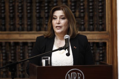 Foto: ANDINA/Juan Carlos Guzmán.