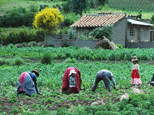 Comunidad altoandina de Uchuraccay, Ayacucho. Foto: ANDINA/Internet.