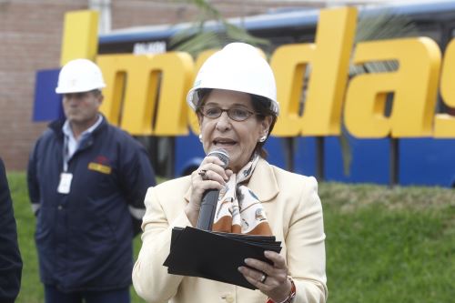 Foto: ANDINA/Juan Carlos Guzmán.