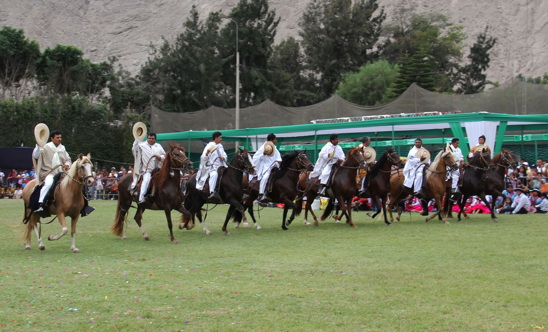 Caballos de paso en Cieneguilla.