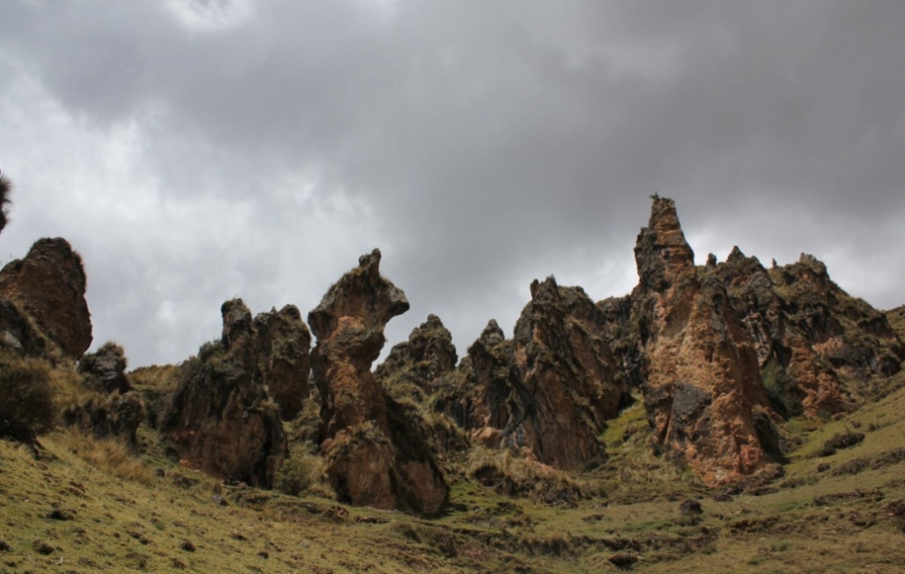 Bosque de pidras de Quishuarcancha-Pichuicancha, ubicado en Pasco.