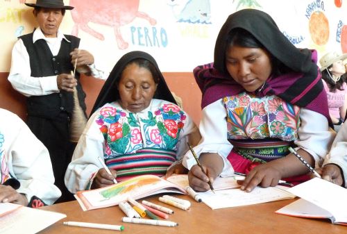 Los programas que desarrolla el Ministerio de Educación (Minedu), han contribuido en la reducción de la tasa de analfabetismo, de 7.1% al 5.9% en los últimos 5 años, aunque aún hay una tarea pendiente para atender a 1 millón 369,295 de personas que no saben leer ni escribir. ANDINA/Difusión