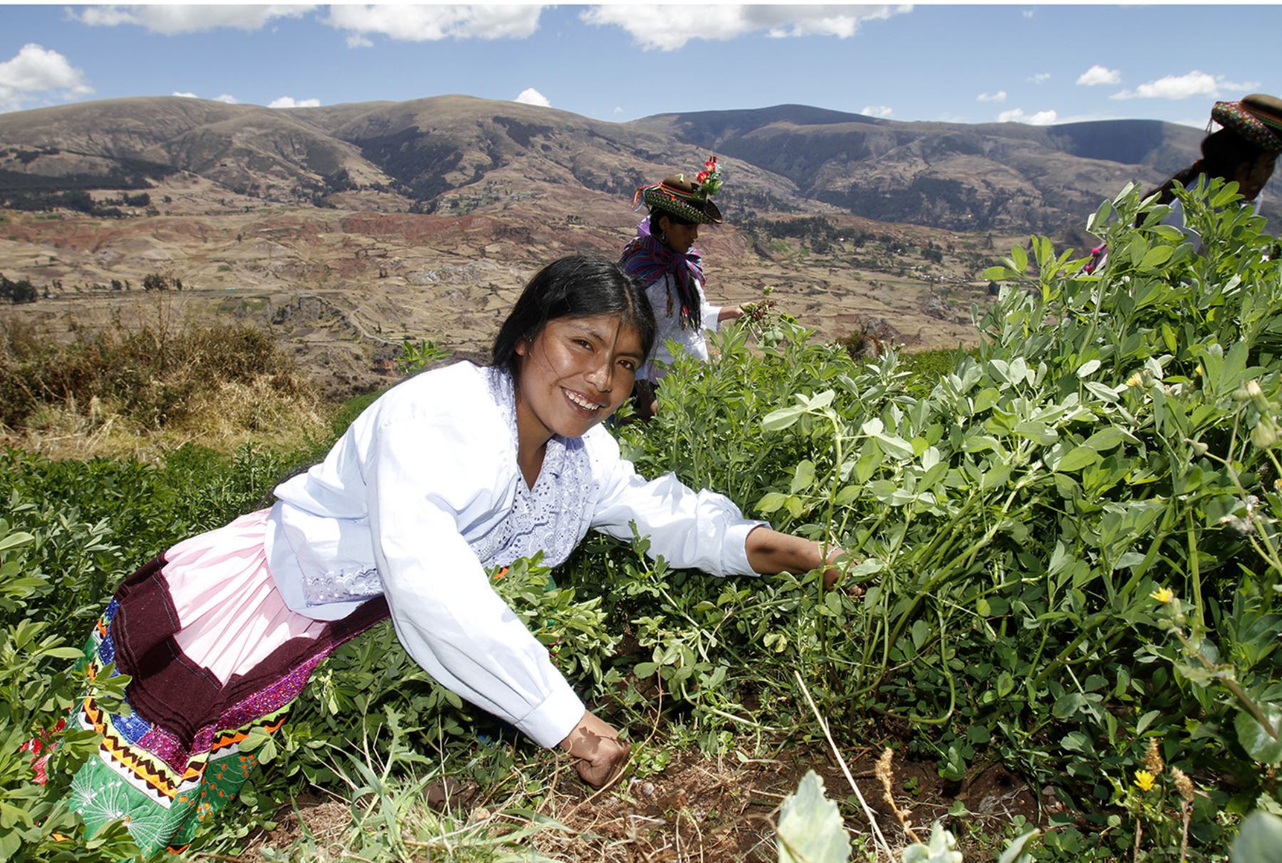 FONCODES Foncodes Riego Campesinos Provincias Cultivo Agricultura Siembra Cosecha familias Desarrollo Social