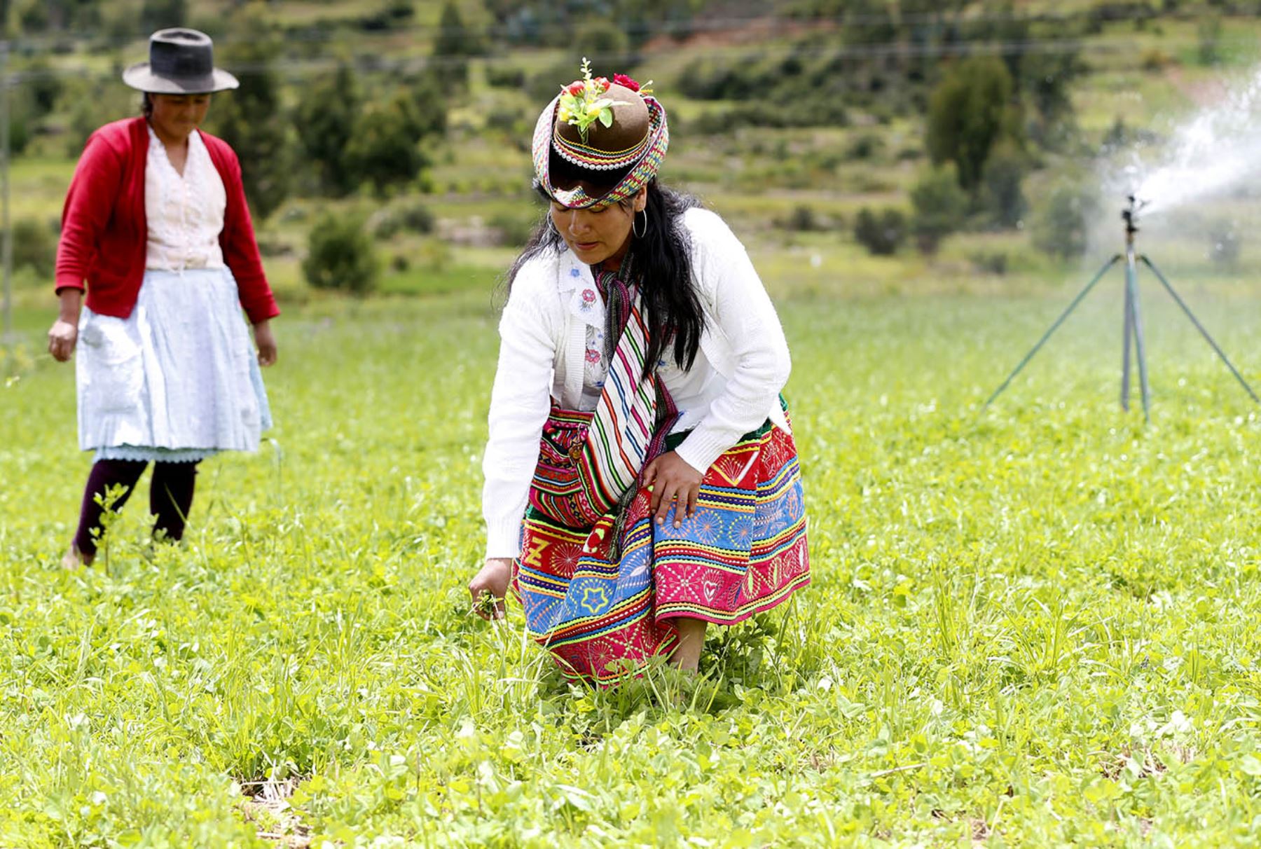 FONCODES Foncodes Riego Campesinos Provincias Cultivo Agricultura Siembra Cosecha familias Desarrollo Social
