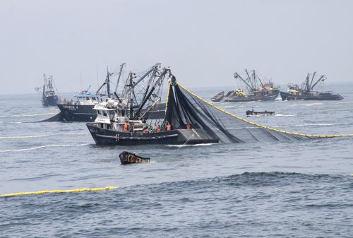Producción Exportación Trabajadores Industria Fabrica Provincias Pesca Industrial Mar Provincias