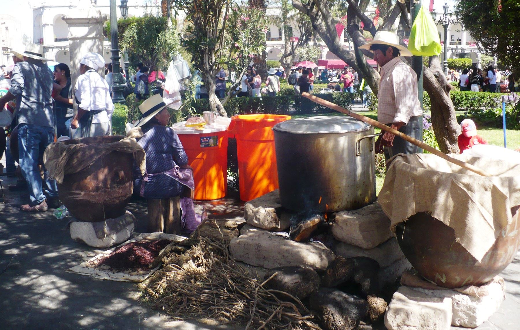 Arequipeños participan del Segundo Festival de la Chicha.