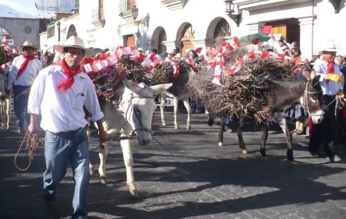 Arequipa postula a la Entrada de Ccapo como Patrimonio Cultural Inmaterial de la Nación. ANDINA/Rocío Méndez