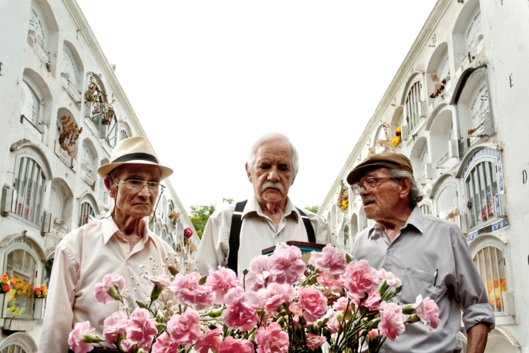 "Viejos amigos".