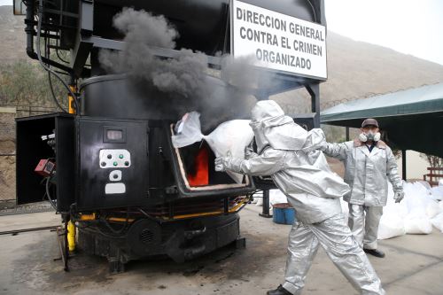 Foto: ANDINA/Norman Córdova.