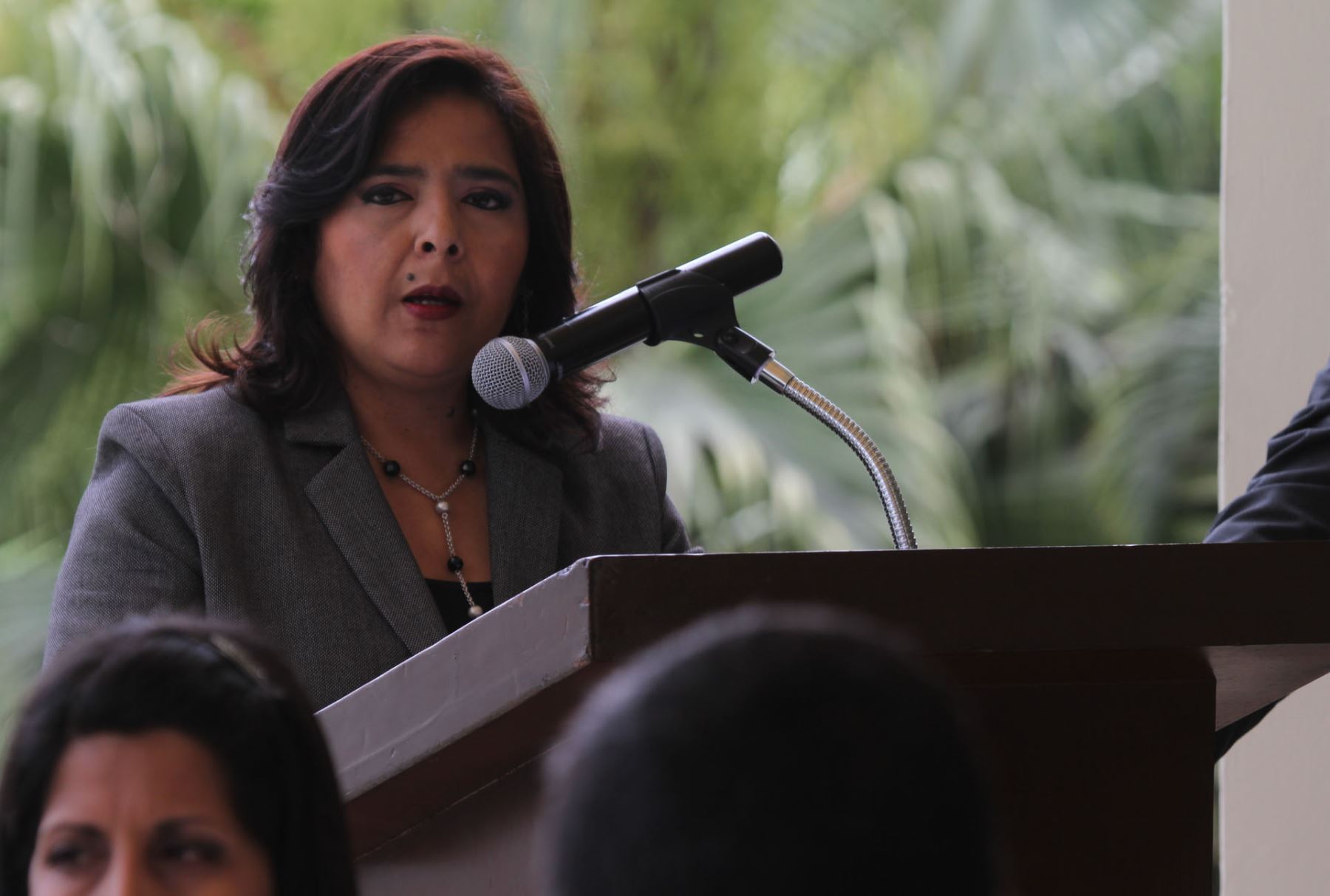 Foto: ANDINA/Difusión.