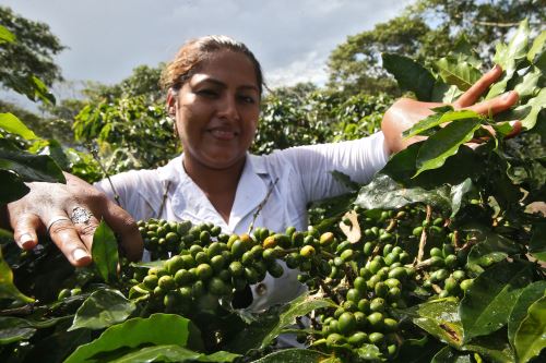Foto: ANDINA/Oscar Farje.