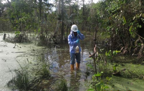 Entidades del Estado peruano adoptarán acciones para reducir la contaminación hídrica en distrito de Trompeteros, en Loreto. ANDINA/Difusión