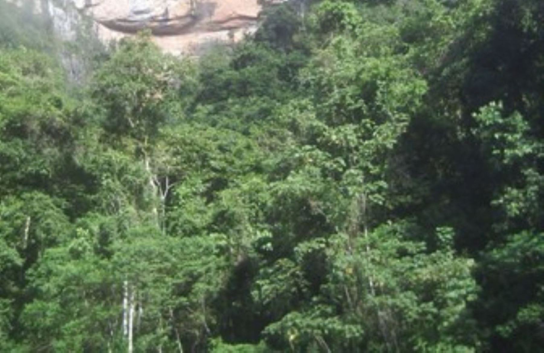Reserva de Biosfera Oxapampa Asháninka-Yanesha.