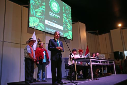 Foto: ANDINA/Carlos Lezama.
