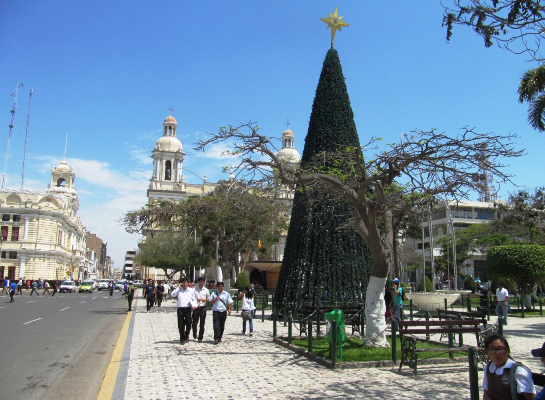 Árboles de parque principal de Chiclayo son decorados por Navidad. Foto: ANDINA/Silvia Depaz.