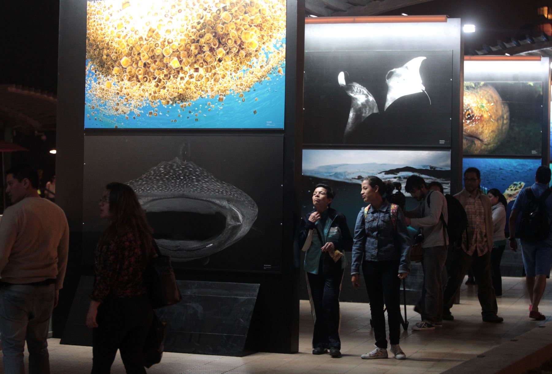 LIMA PERÚ, DICIEMBRE 6. Con la presencia del Viceministro de Gestión Ambiental, Guillermo Quijandria se inaugura la muestra fotográfica "Fragil" en la Noche Azul por la defensa de los océanos.  Foto: ANDINA/Melina Mejia