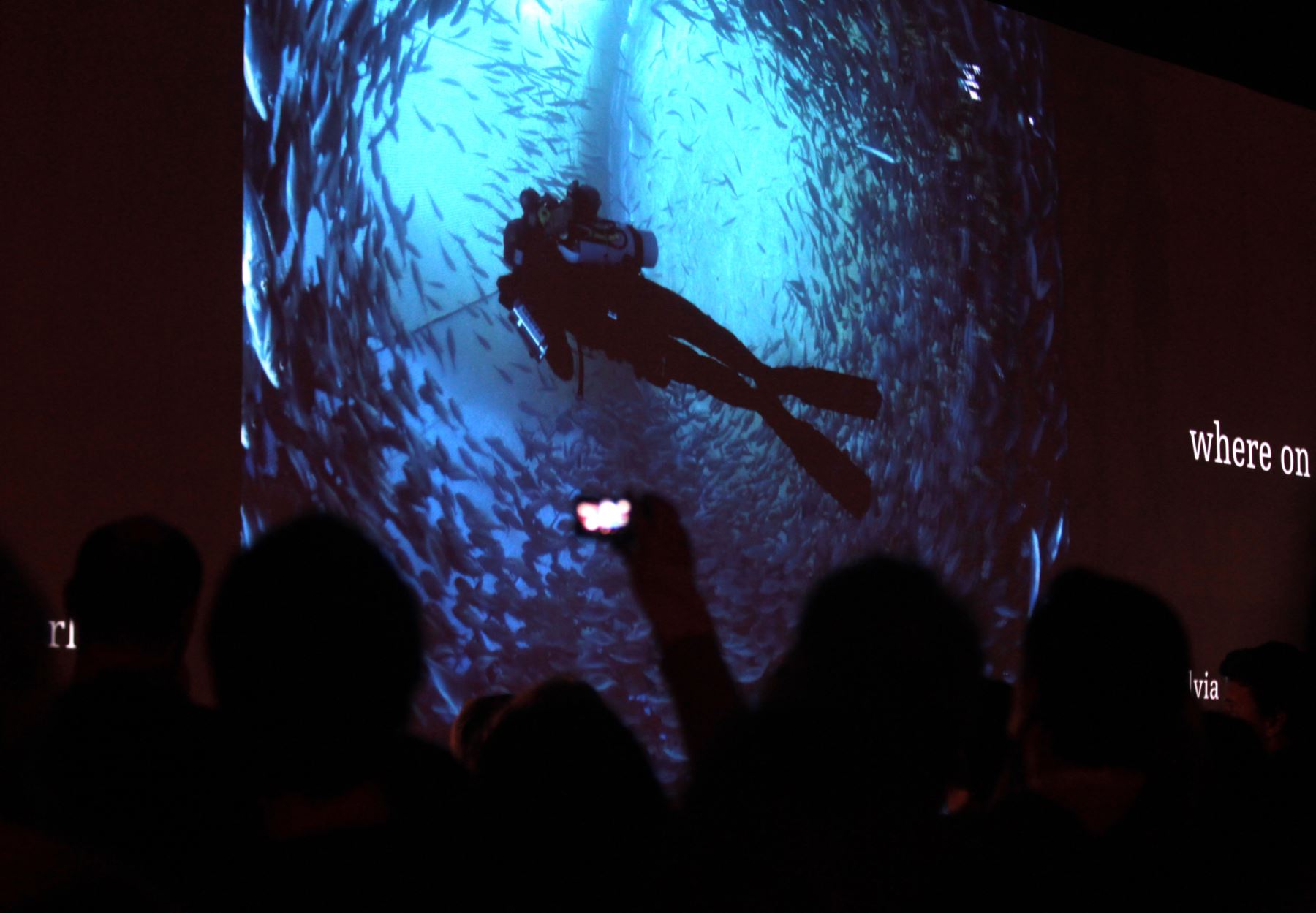 LIMA PERÚ, DICIEMBRE 6. Con la presencia del Viceministro de Gestión Ambiental, Guillermo Quijandria se inaugura la muestra fotográfica "Fragil" en la Noche Azul por la defensa de los océanos.  Foto: ANDINA/Melina Mejia