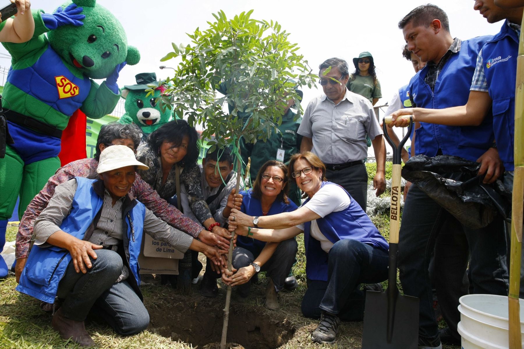 Vecinos de Lima sembraron y adoptaron más de 500 mil árboles | Noticias |  Agencia Peruana de Noticias Andina