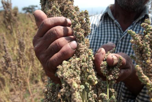 ANDINA/Melina Mejía