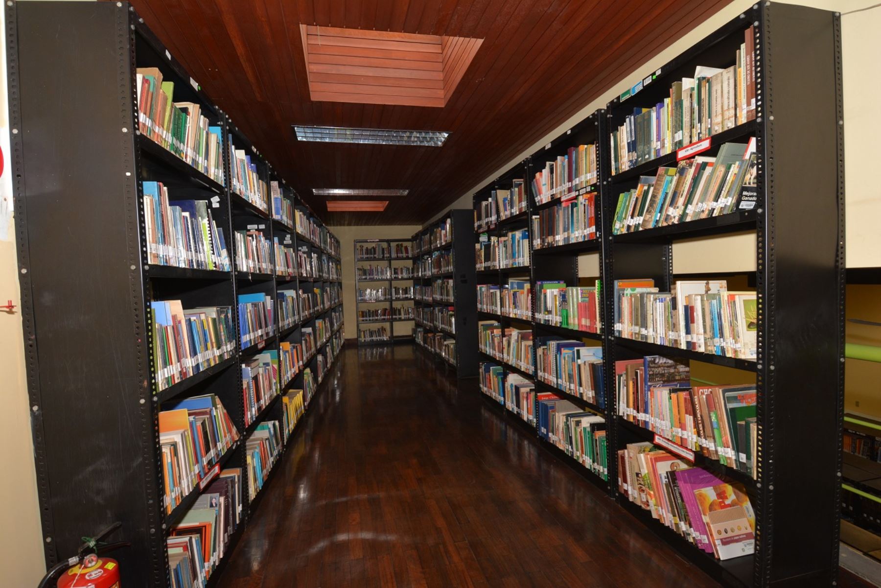 Nuevo rostro lucirán pronto las bibliotecas de Miraflores. Foto: Andina/Difusión