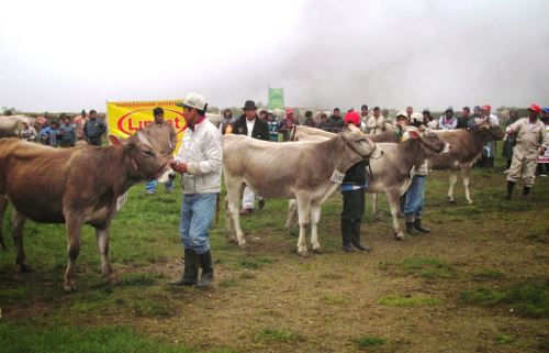 Pasco se prepara para feria agropecuaria con participación de ocho regiones. ANDINA/Archivo