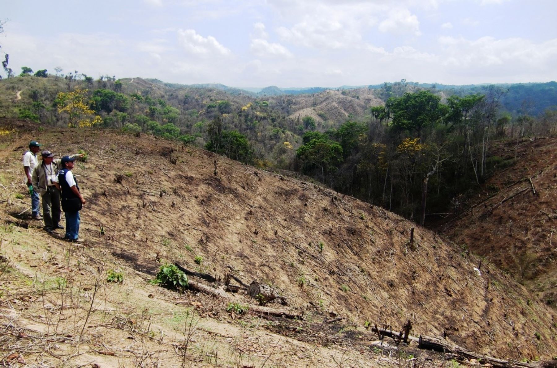 Tumbes: Fiscalía constata daño ambiental en Parque Nacional Cerros de Amotape. Foto: ANDINA/Difusión.