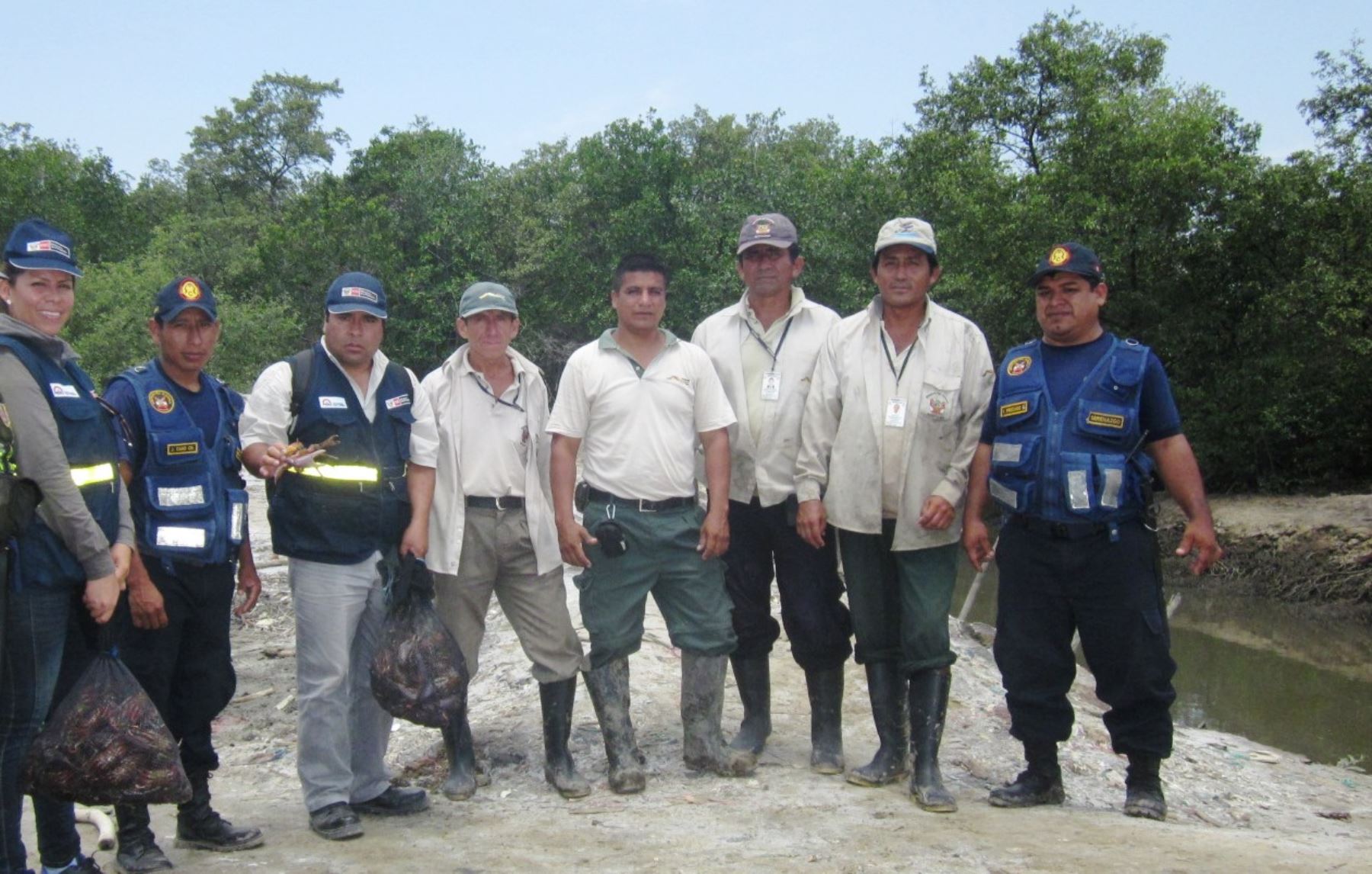 Trabajadores del Sernanp trabajan para cumplimiento de veda del cangrejo de manglar en Tumbes.