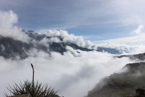 Paisaje en el valle del Colca. Foto: ANDINA/Internet.