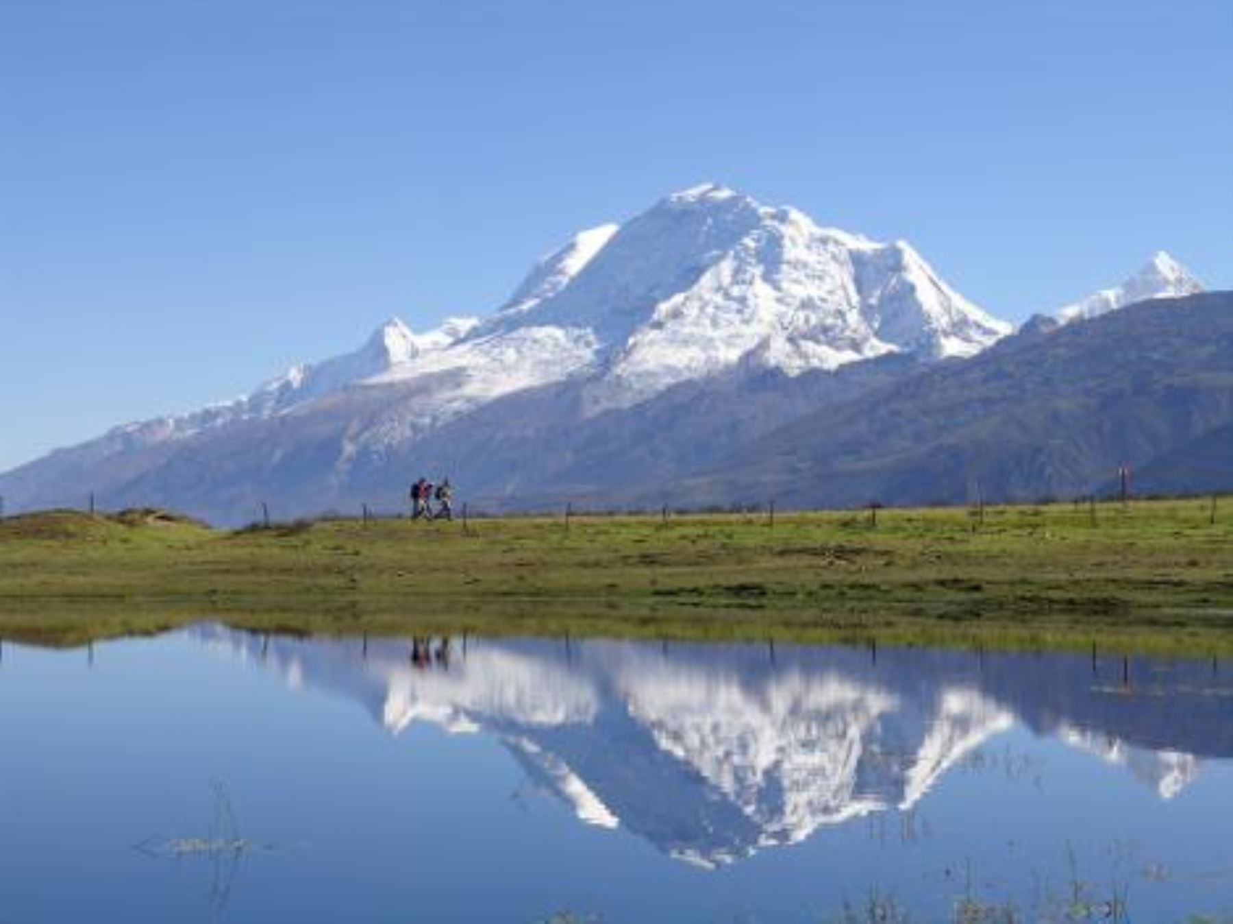 Parque Nacional Huascarán recupera bofedales con retiro voluntario de ganado. Foto: ANDINA/Internet.
