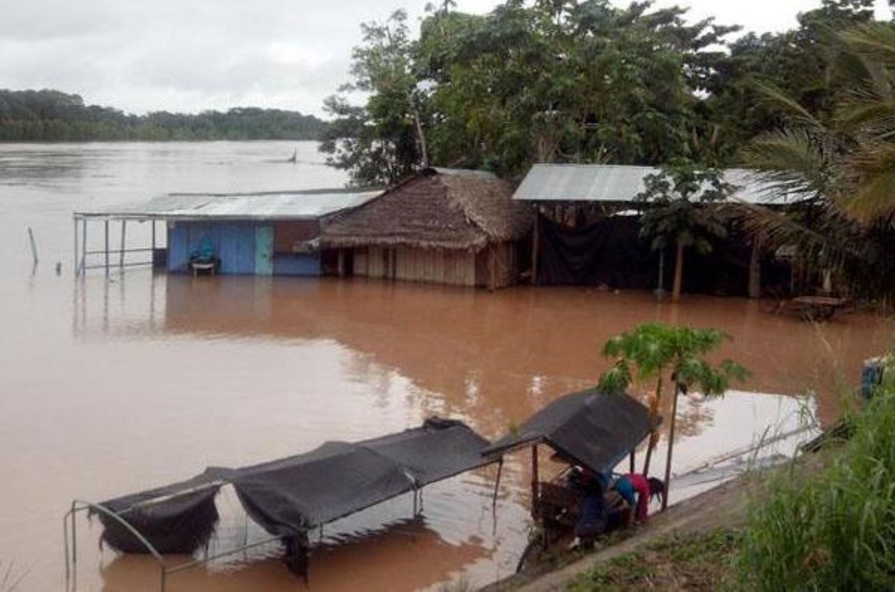 Iñapari es una de las localidades de Madre de Dios más afectadas por el desborde del río Acre. ANDINA/Internet